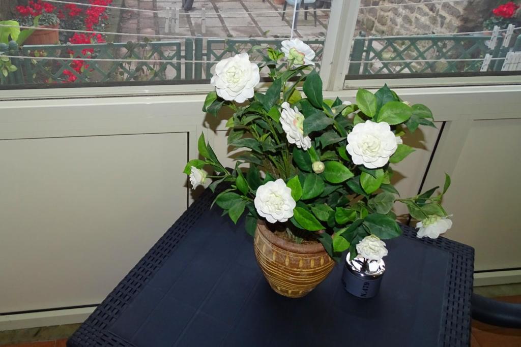 Nonna Peppa - Sorrento Bed & Breakfast Sant'Agnello Exterior photo